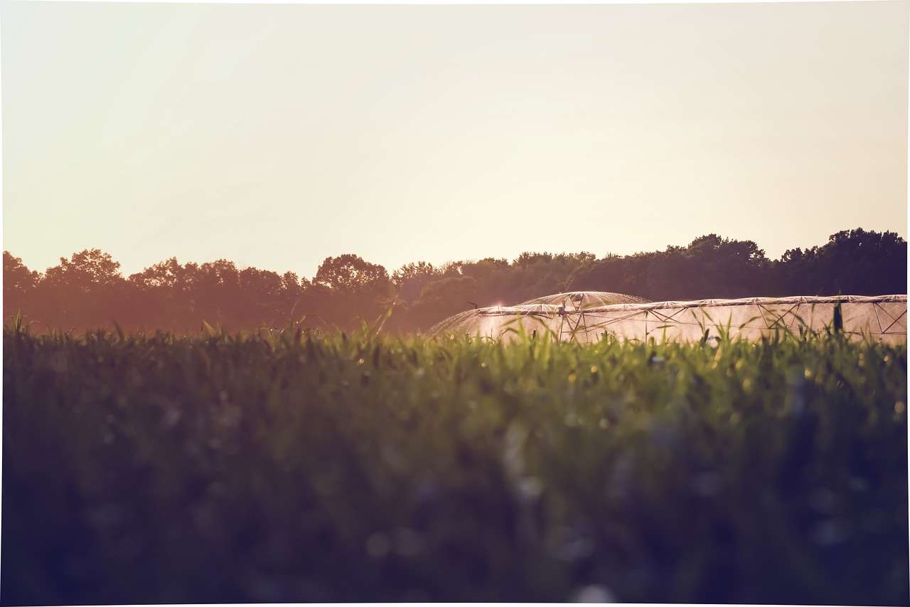 Water droplets on grass representing irrigation excellence